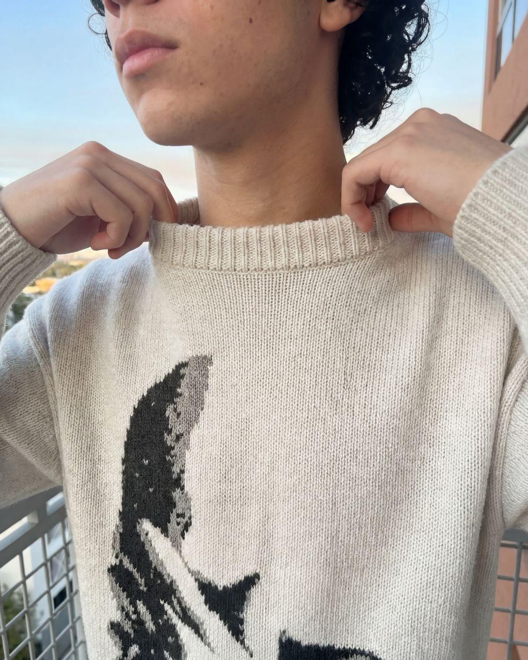 Jersey de punto "¿Por qué?"